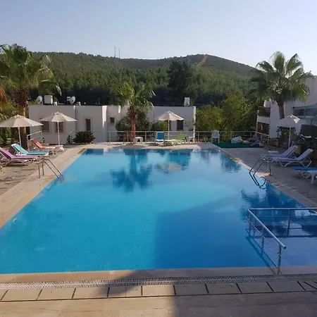 Luxus Mit Hamam, Pool Und Sauna Villa